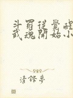 斗罗从觉醒朱雀武魂开始小说