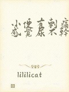 小便有刺痛感还感觉尿不干净怎么办