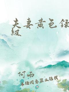 夫妻黄色录像一级