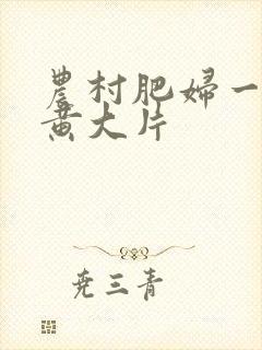 农村肥妇一级特黄大片