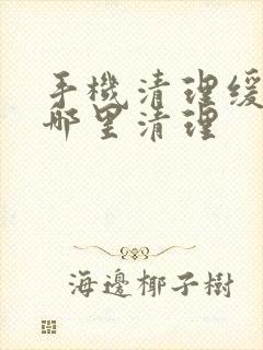 手机清理缓存在哪里清理