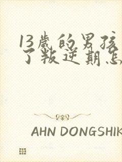 13岁的男孩去了叛逆期怎么教