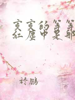 寞寞的等等你在红尘中是那首歌