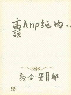 高hnp纯肉小说