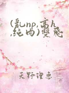 (乱np,高h,纯肉)双飞