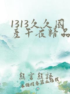 1313久久国产午夜精品理论片