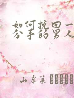 如何挽回一个刚分手的男人