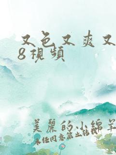 又色又爽又黄18视频