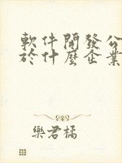 软件开发公司属于什么企业类型