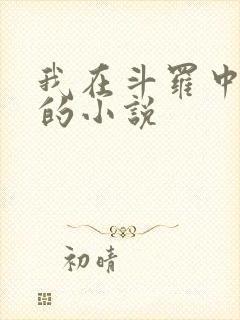 我在斗罗中成神的小说