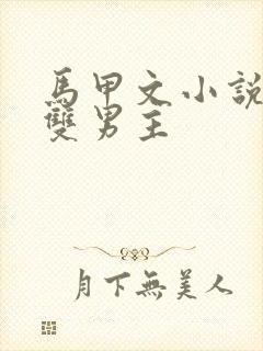 马甲文小说推荐双男主