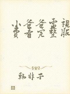 小爸爸电视剧免费看完整版