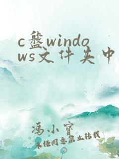 c盘windows文件夹中的哪些文件可以删