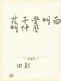 花千骨叫白子画叫什么