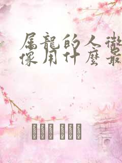 属龙的人微信头像用什么最好