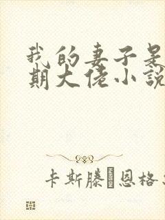 我的妻子是大乘期大佬小说咸鱼老白