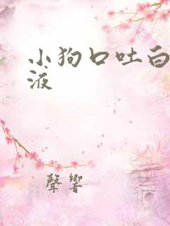 小狗口吐白色粘液