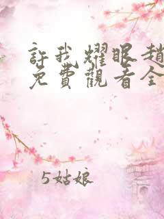 许我耀眼赵露思免费观看全集在线播放