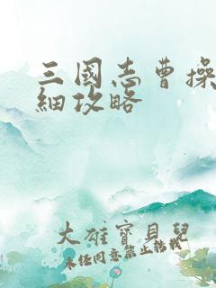 三国志曹操传详细攻略