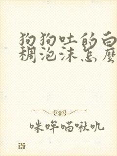 狗狗吐的白色粘稠泡沫怎么办