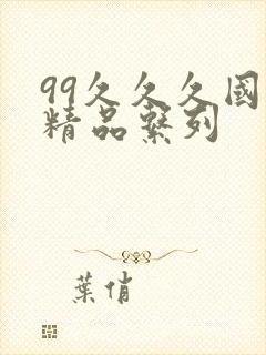 99久久久国产精品系列