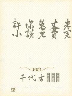 许你万丈光芒好小说免费完整在线阅读