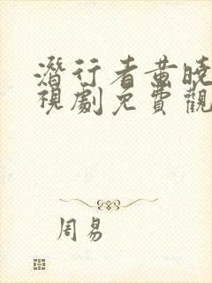 潜行者黄晓明电视剧免费观看下载