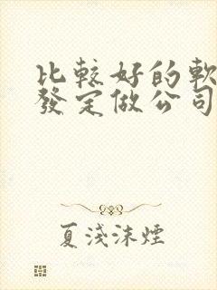 比较好的软件开发定做公司