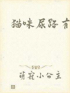 猫咪尿路有问题