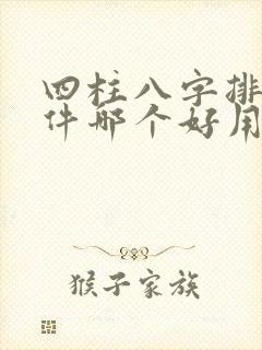 四柱八字排盘软件哪个好用