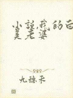 小说,我的白富美老婆