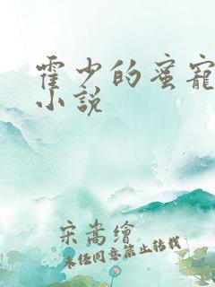 霍少的蜜宠娇妻小说