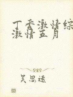 丁香激情综合网激情五月