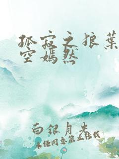 孤寂之狼叶凡司空嫣然