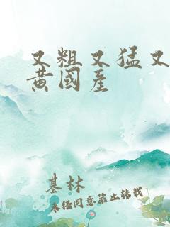 又粗又猛又爽又黄国产