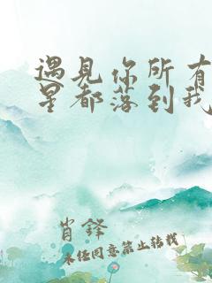 遇见你所有的星星都落到我头上歌词