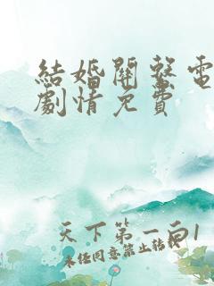 结婚关系电视剧剧情免费