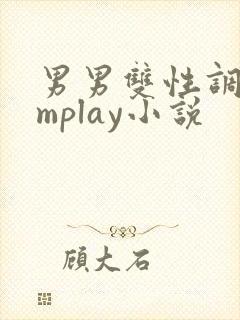 男男双性调教smplay小说