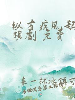 纵有疾风起 电视剧 免费