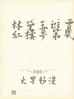 林黛玉进贾府是红楼梦第几回