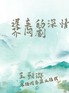 迟来的深情如草芥网剧