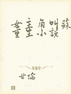 女主角叫苏鸢的重生小说