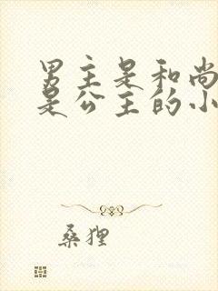 男主是和尚女主是公主的小说