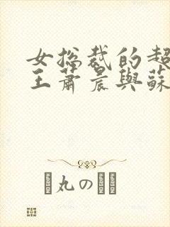 女总裁的超级兵王萧晨与苏晴