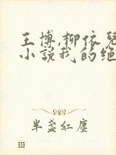 王博,柳依儿,小说我的绝品老师