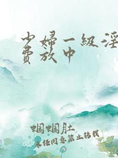 少妇一级淫片免费放中