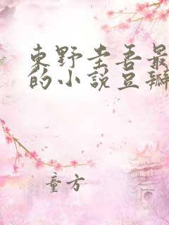 东野圭吾最好看的小说豆瓣