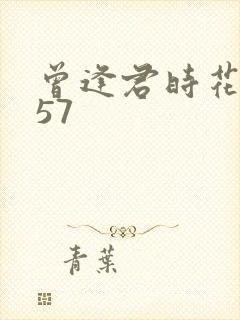 曾逢君时花照眼57