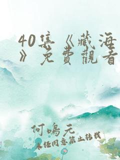 40集《藏海传》免费观看