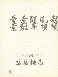 爱意随风起风止意难平视频